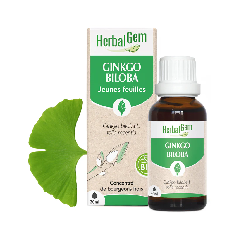 Concentré de bourgeons Ginkgo Biloba bio - HerbalGem