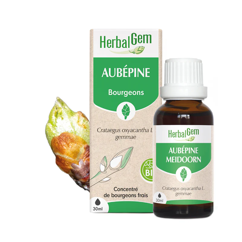 Concentré de bourgeons Aubépine bio - HerbalGem