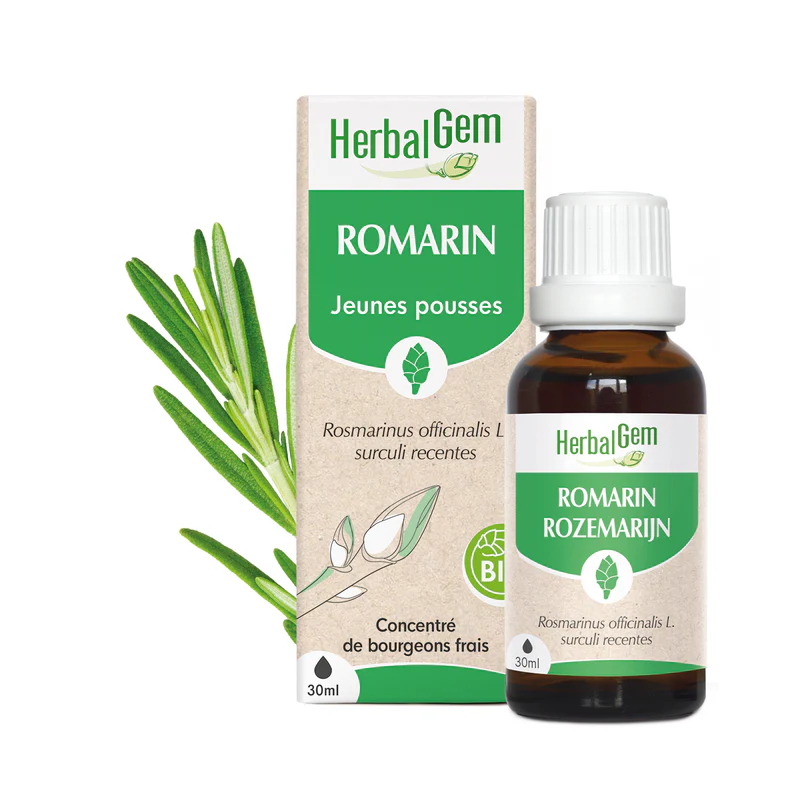 Concentré de bourgeons Romarin bio - HerbalGem