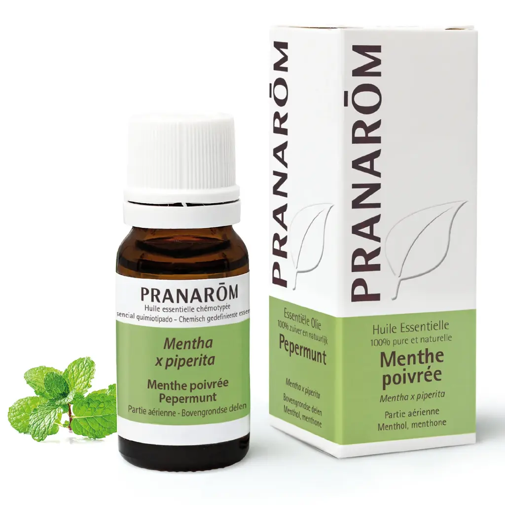 Huile essentielle Menthe poivrée 10mL Pranarōm