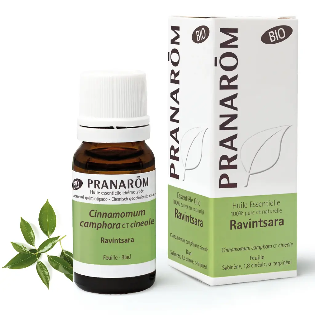 Huile essentielle biologique Ravintsara 10mL Pranarōm