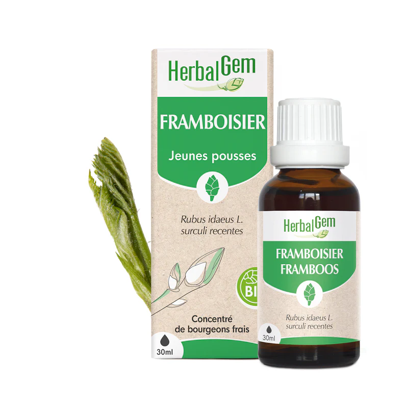 Concentré de bourgeons Framboisier bio - HerbalGem