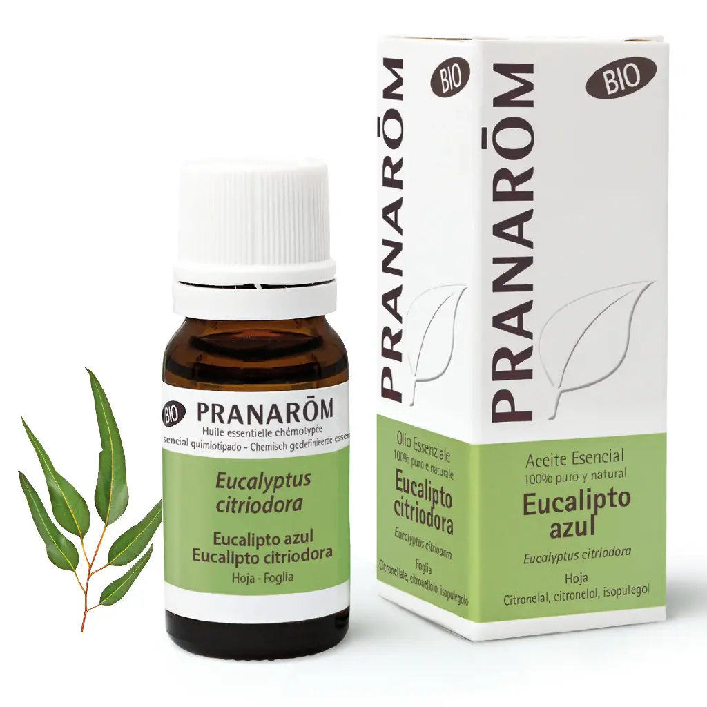 Huile essentielle biologique Eucalyptus citronné 10mL Pranarōm 