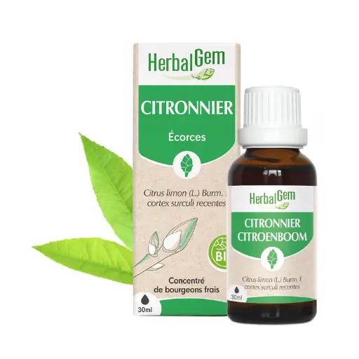 Concentré de bourgeons Citronnier bio - HerbalGem