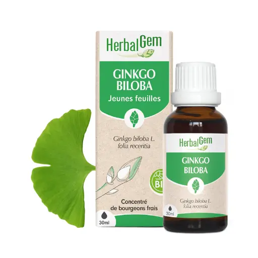 Concentré de bourgeons Ginkgo Biloba bio - HerbalGem