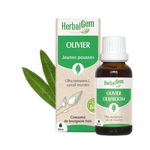 Concentré de bourgeons Olivier bio - HerbalGem