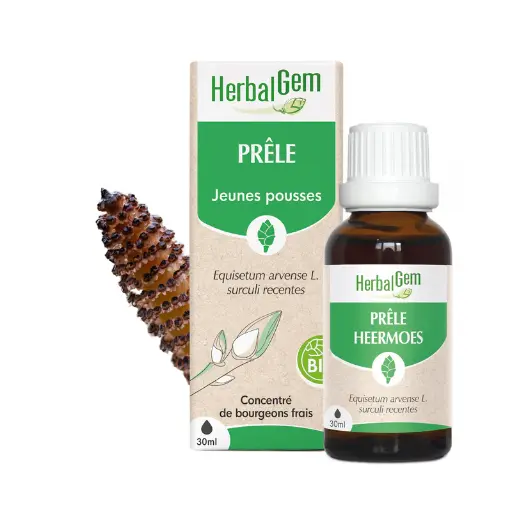Concentré de bourgeons Prêle bio - HerbalGem