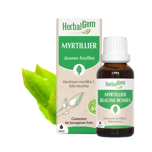 Concentré de bourgeons Myrtillier bio - HerbalGem