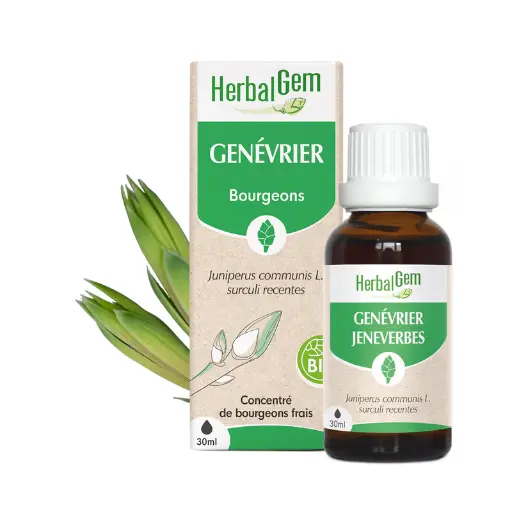 Concentré de bourgeons Genévrier bio - HerbalGem