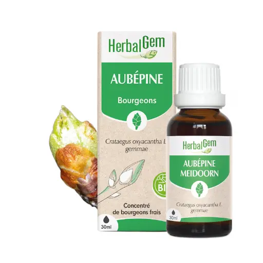 Concentré de bourgeons Aubépine bio - HerbalGem