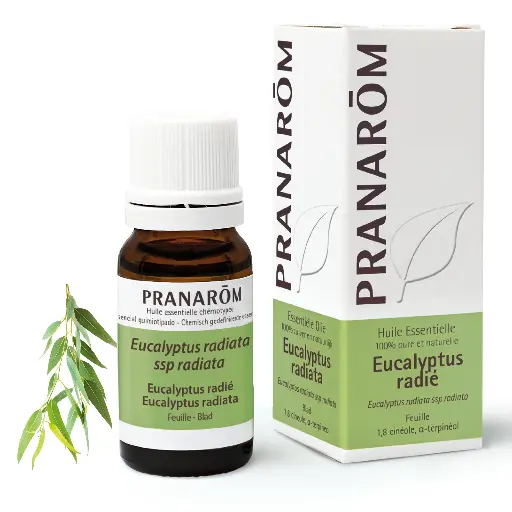 Huile essentielle Eucalyptus radié 10mL Pranarōm
