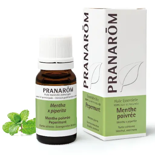 Huile essentielle Menthe poivrée 10mL Pranarōm