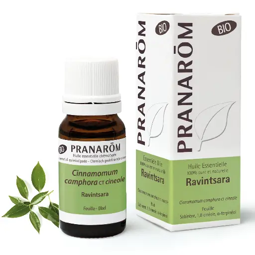 Huile essentielle biologique Ravintsara 10mL Pranarōm