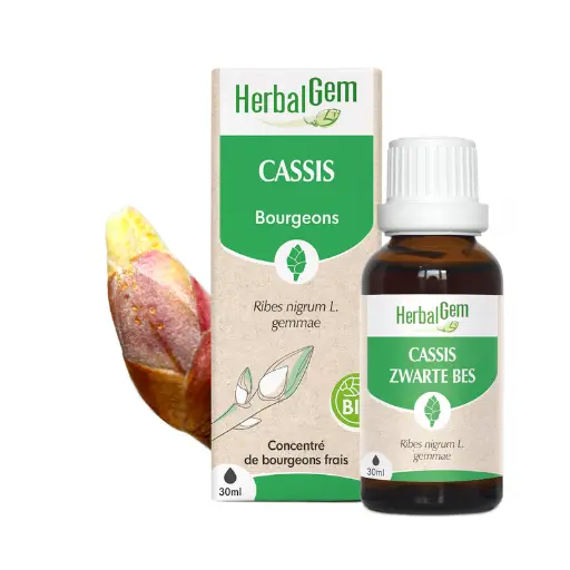 Concentré de bourgeons Cassis bio - HerbalGem 