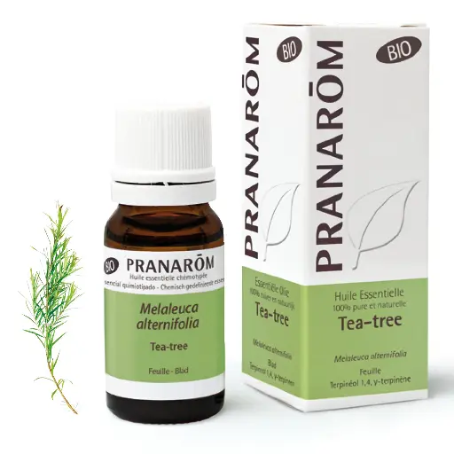 Huile essentielle biologique Tea Tree 10mL Pranarom