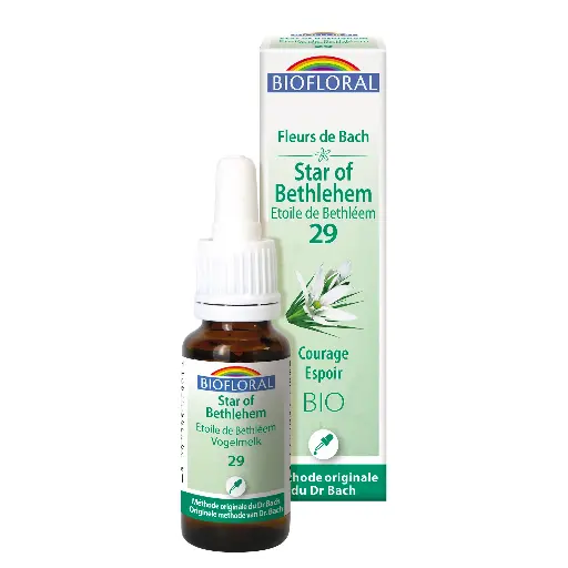 Fleur de Bach Biofloral Star of Bethlehem - Etoile de Bethléem 29