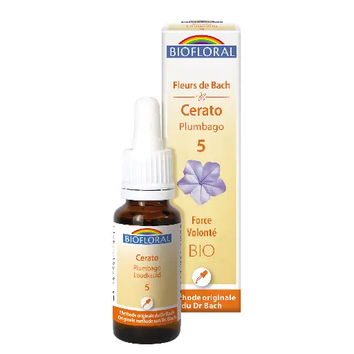 Fleur de Bach Biofloral Cerato - Plumbago 5
