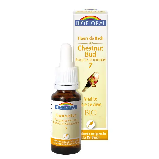 Fleur de Bach Biofloral Chesnut Bud - Bourgeon de Marronnier 7