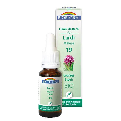 Fleur de Bach Biofloral Larch - Mélèze 19