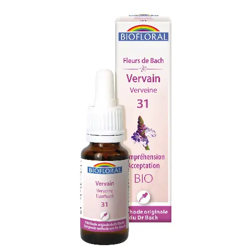 Fleur de Bach Vervain - Verveine 31