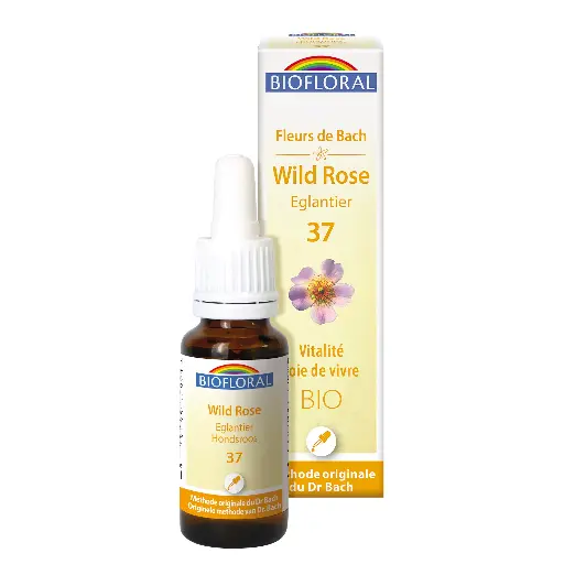 Fleur de Bach Wild Rose - Églantier 37